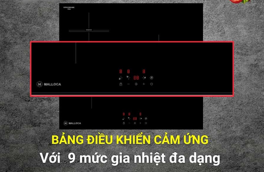 Bếp từ Malloca MH-5903 IN