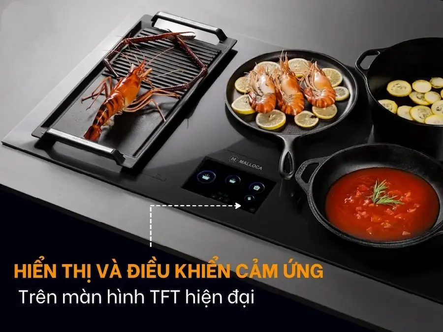 Bếp từ đa điểm Malloca MH-92TFT