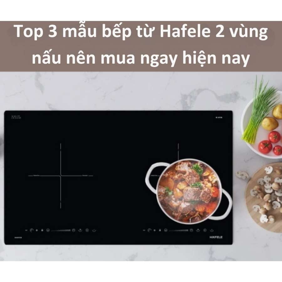 bếp từ hafele 2 vùng nấu