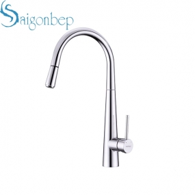 Vòi rửa chén Hafele HT21-CH1P245 577.55.220